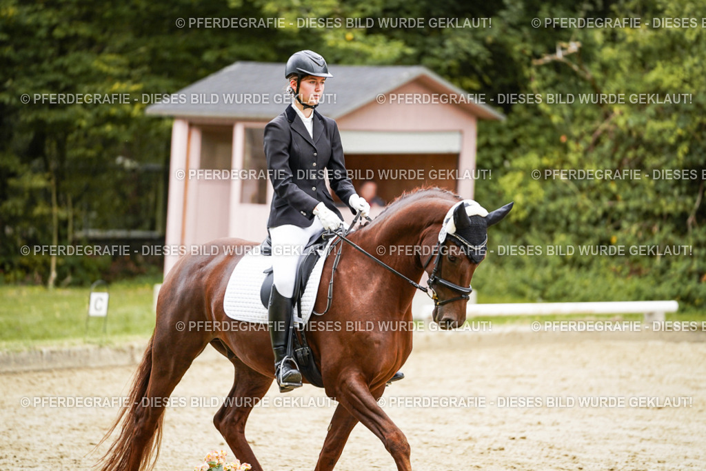 DSC00329 | Pferdegrafie