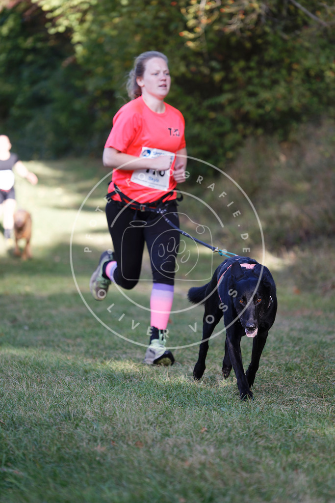0L8A5420 | Hundefotografie, Tierfotograf, Pfotenfotografie, Fotoshooting Hund, Hunde Portrait, Hundesport, Hundeportraits, Heideshooting, Hunde, Sportfotograf, Hundefotograf, Turnierhundsport, THS,  - Realisiert mit Pictrs.com