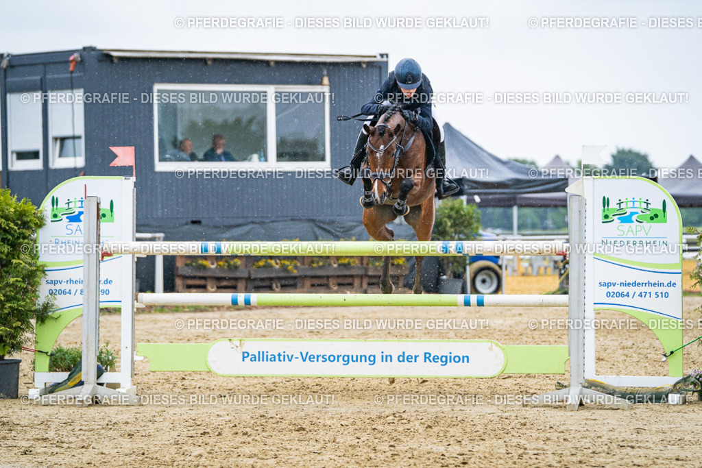 DSC09667 | Pferdegrafie