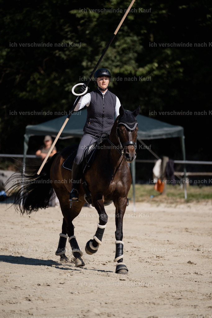 WM_ST_110_stoibphotography__SO11946 | working equitationturnier fotograf videograf stoibphotography marixx film working equitation deutschland reitsport turnierfotografie eventfotografie equestrian events