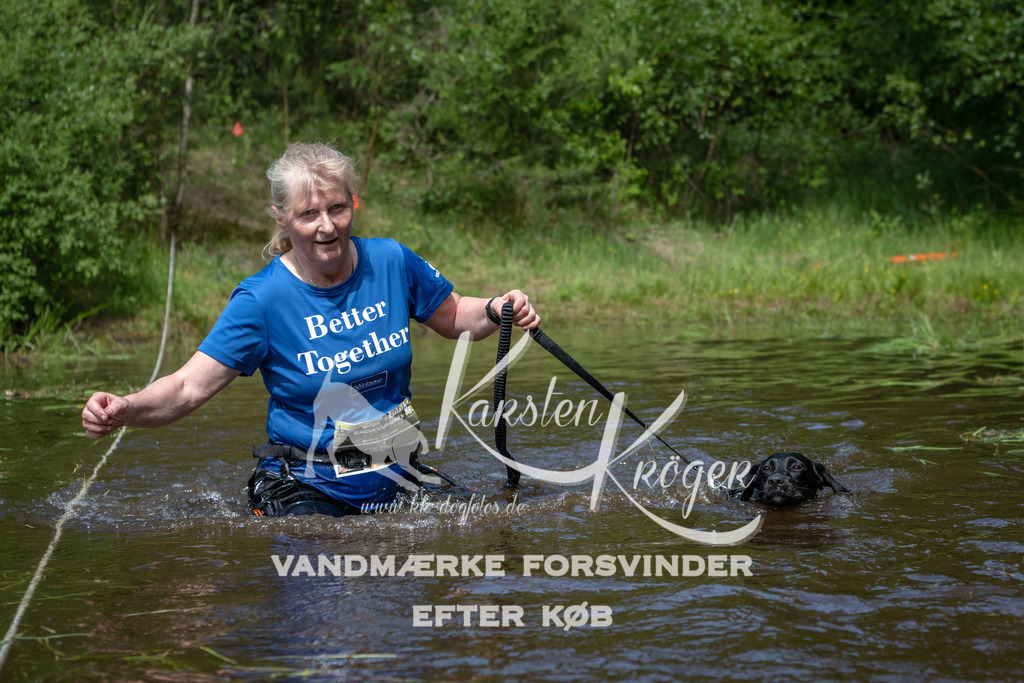 1203DKK991637 | kk-dogfotos