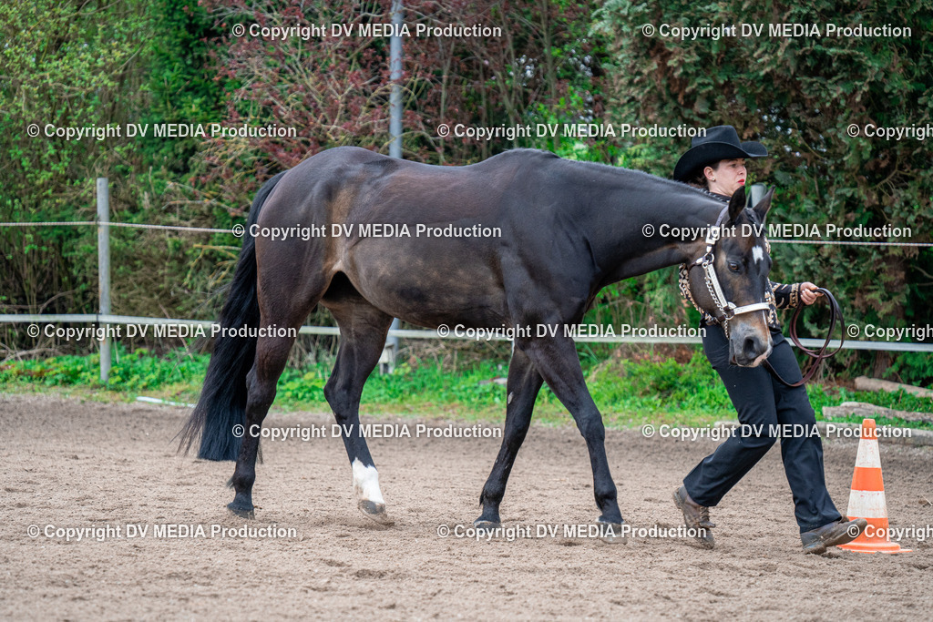 BA300205 | dv-media-shop - Realisiert mit Pictrs.com