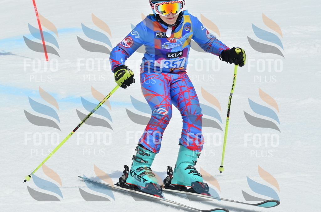 _ELE2789 | holidayphoto