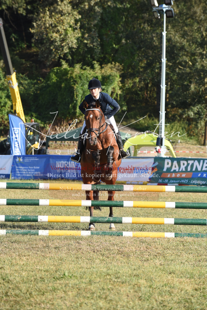 DSC_5009 | Pferde- und Turnierfotografie in Westsachsen. Pferdeportraits, Auftragszeichnungen und intuitive Kunst.