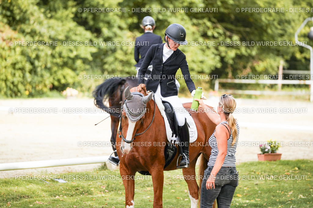 DSC01477 | Pferdegrafie