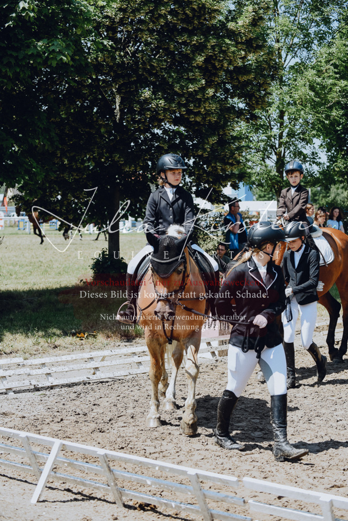 DSC_2162 | Pferde- und Turnierfotografie in Westsachsen. Pferdeportraits, Auftragszeichnungen und intuitive Kunst.