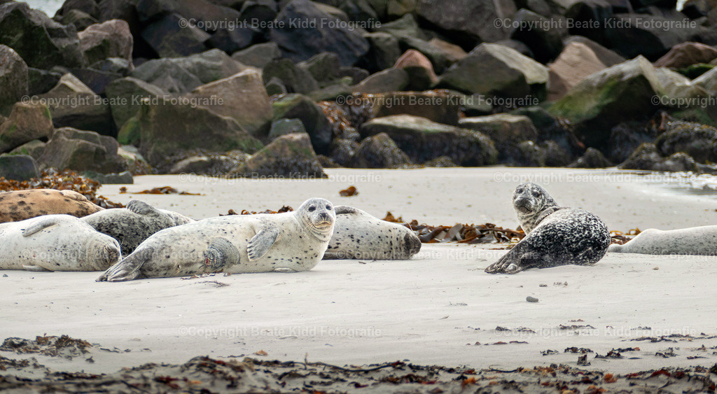 P1220205 | beatekidd-fotografie - Realisiert mit Pictrs.com