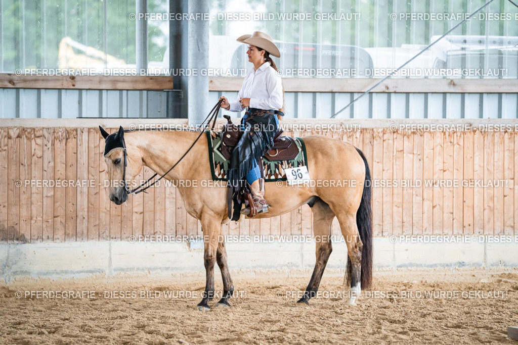 DSC03552 | Pferdegrafie