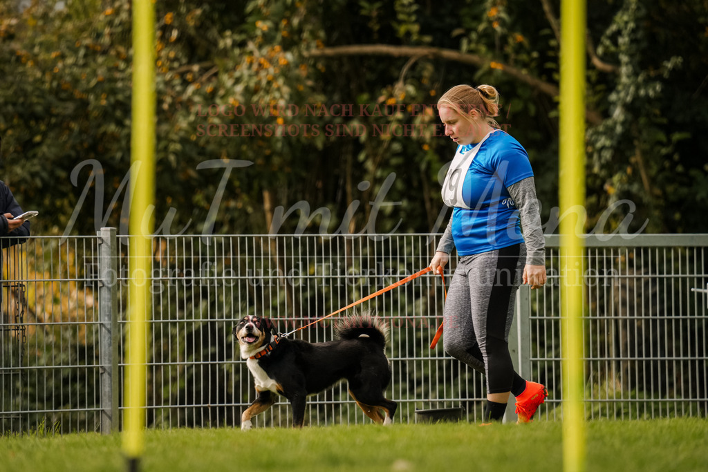 20251005_THS_Turnier-582 | MuT (Mensch und Tier) mit Mona - Fotografie und Tierkommunikation - Realisiert mit Pictrs.com