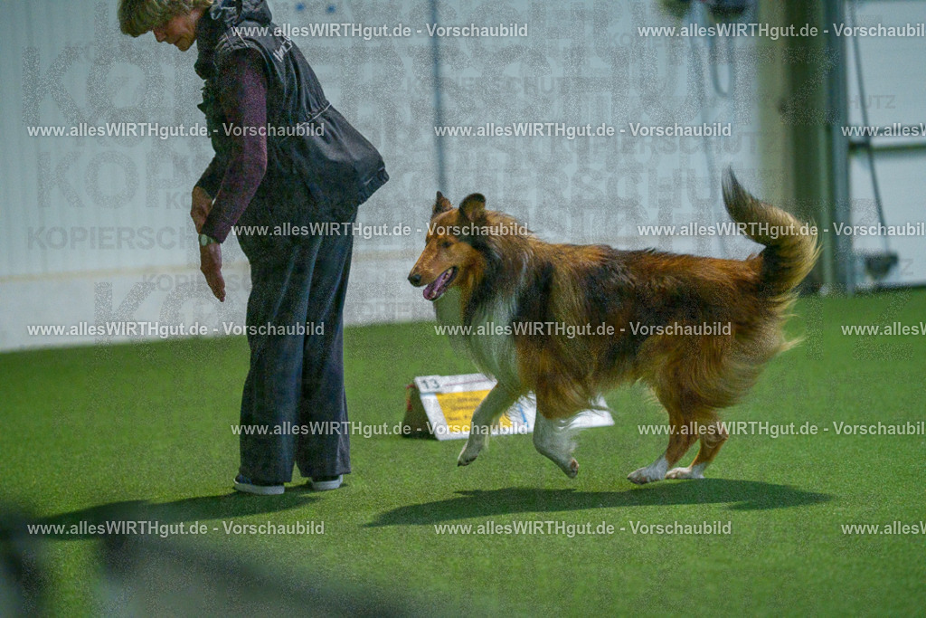 7R502139 | Professionelle Tierfotografie in Mönchengladbach von Daniel Wirth (allesWIRTHgut). Liebevolle & natürliche Bilder von Hunden & Katzen für unvergessliche Erinnerungen.