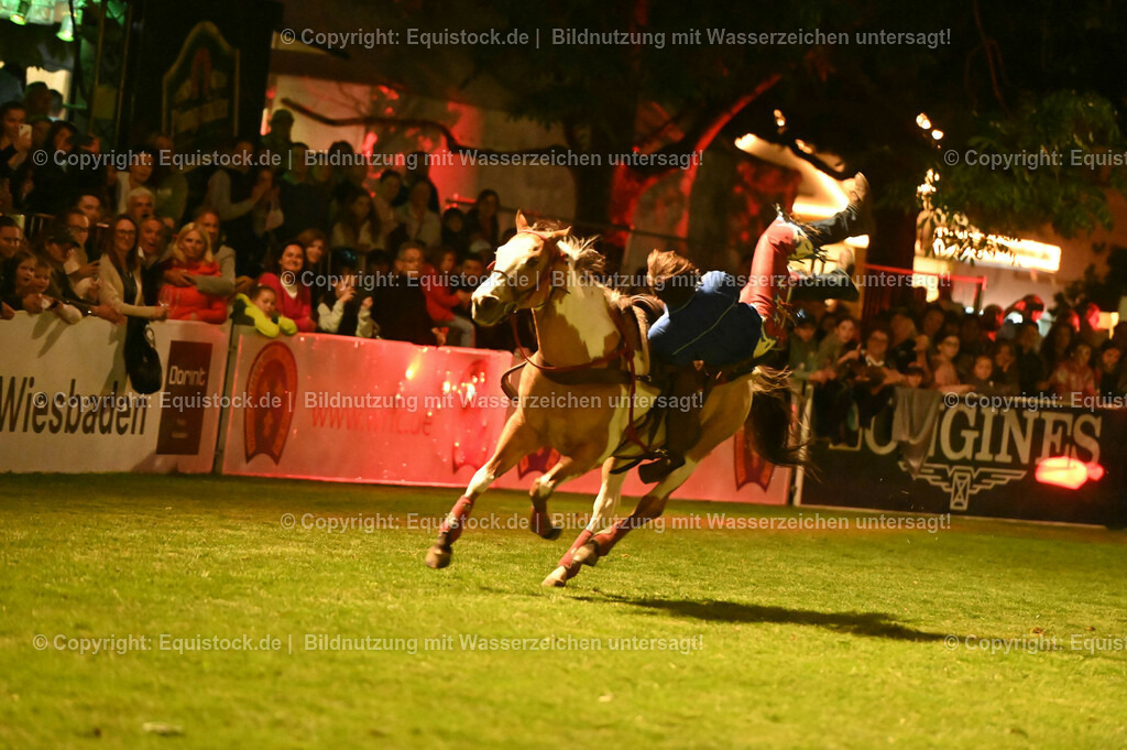 20230526_Pferdenacht_1197 | equistock