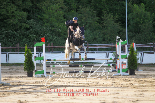 DKP45197 | Turnierfotos kaufen im Webshop von Daniel Kuhl Photography – entdecke professionelle Reitsportfotos aus Turnieren & Events. Hochwertige Turnierbilder online bestellen & sichern. Jetzt Fotos von Reitsportturnieren kaufen!