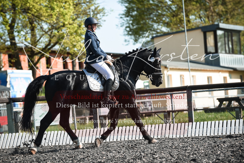 DSC_8469 | Pferde- und Turnierfotografie in Westsachsen. Pferdeportraits, Auftragszeichnungen und intuitive Kunst.