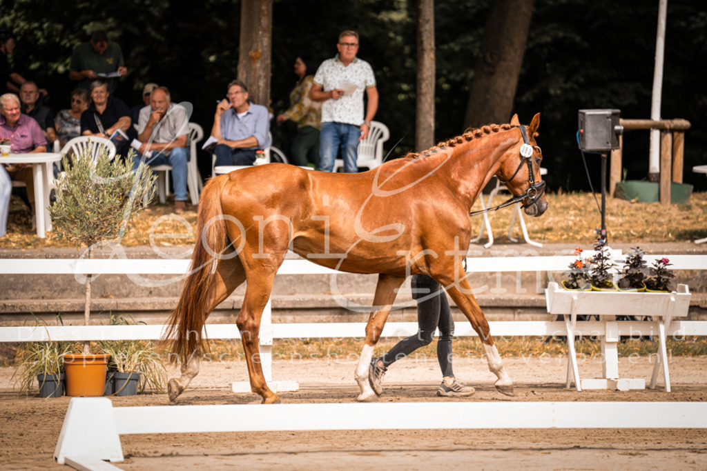 4.Fr00205 | Leoni Ertmer Photography - Realisiert mit Pictrs.com