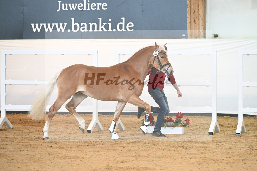 Kat-Nr. 18 v. Akitano_Mueller_2230294 | hf-fotografie - Realisiert mit Pictrs.com