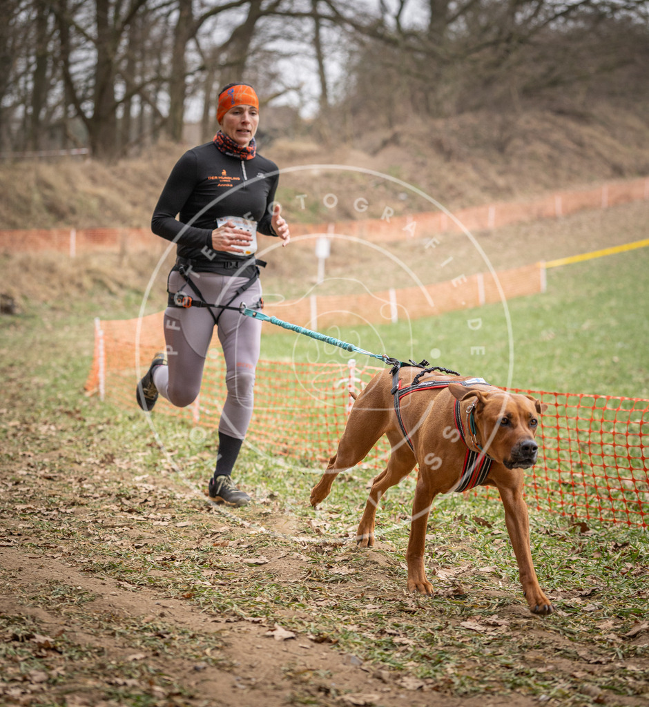 Pfotenfotografie_DV3A7539 | Hundefotografie, Tierfotograf, Pfotenfotografie, Fotoshooting Hund, Hunde Portrait, Hundesport, Hundeportraits, Heideshooting, Hunde, Sportfotograf, Hundefotograf, Turnierhundsport, THS,  - Realisiert mit Pictrs.com