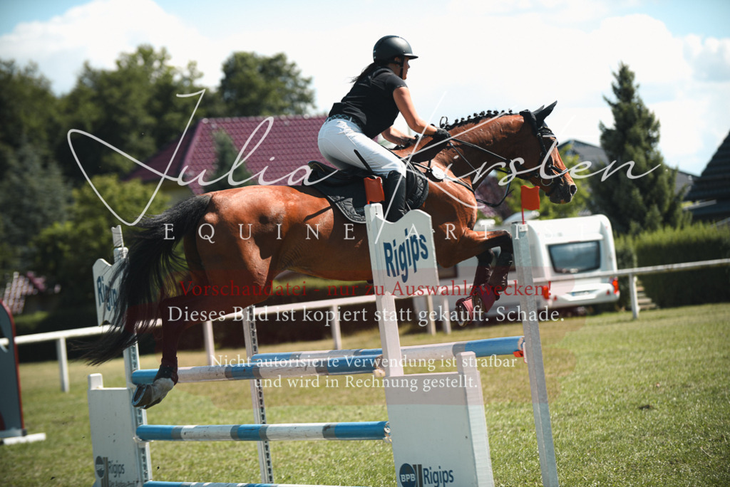 DSC_7098 | Pferde- und Turnierfotografie in Westsachsen. Pferdeportraits, Auftragszeichnungen und intuitive Kunst.