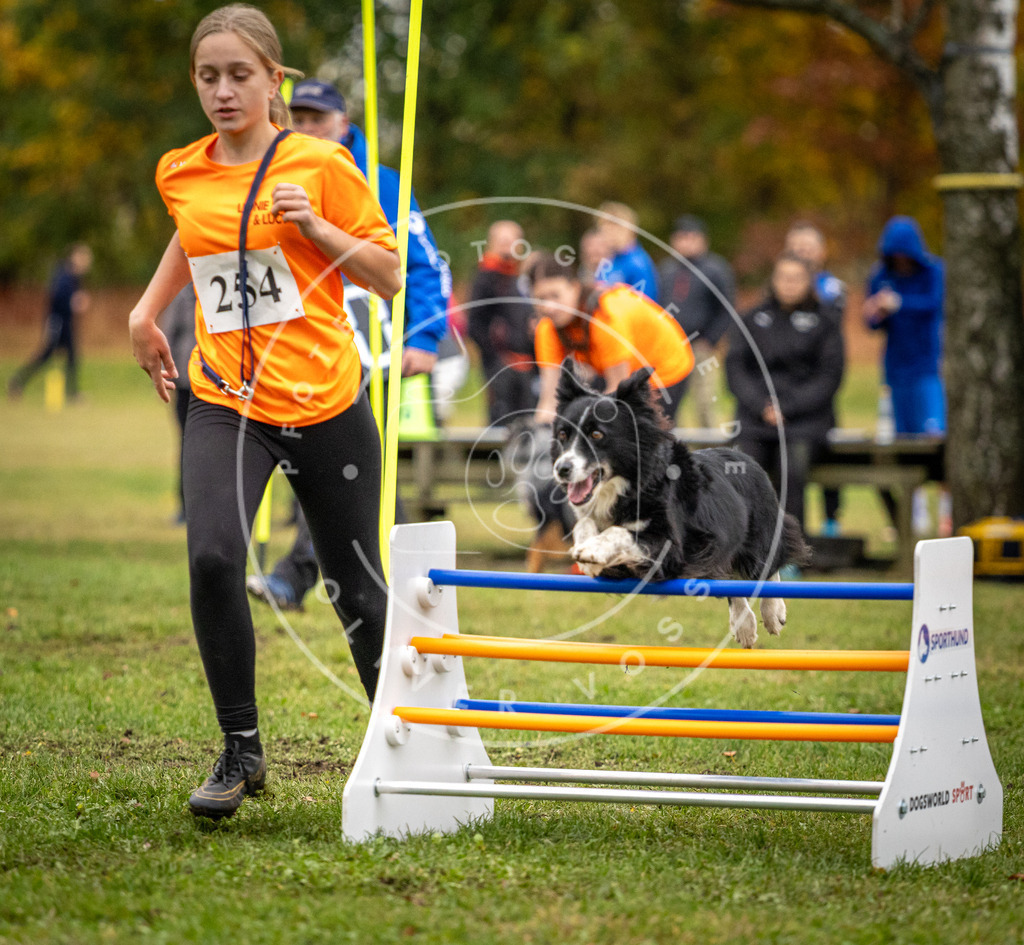 Pfotenfotografie_DV3A0580 | Hundefotografie, Tierfotograf, Pfotenfotografie, Fotoshooting Hund, Hunde Portrait, Hundesport, Hundeportraits, Heideshooting, Hunde, Sportfotograf, Hundefotograf, Turnierhundsport, THS,  - Realisiert mit Pictrs.com