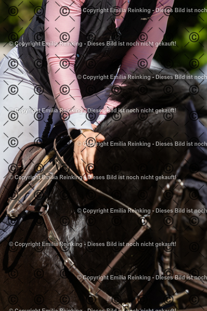 CL5A2700 | Emilia Reinking Fotografie - Realisiert mit Pictrs.com