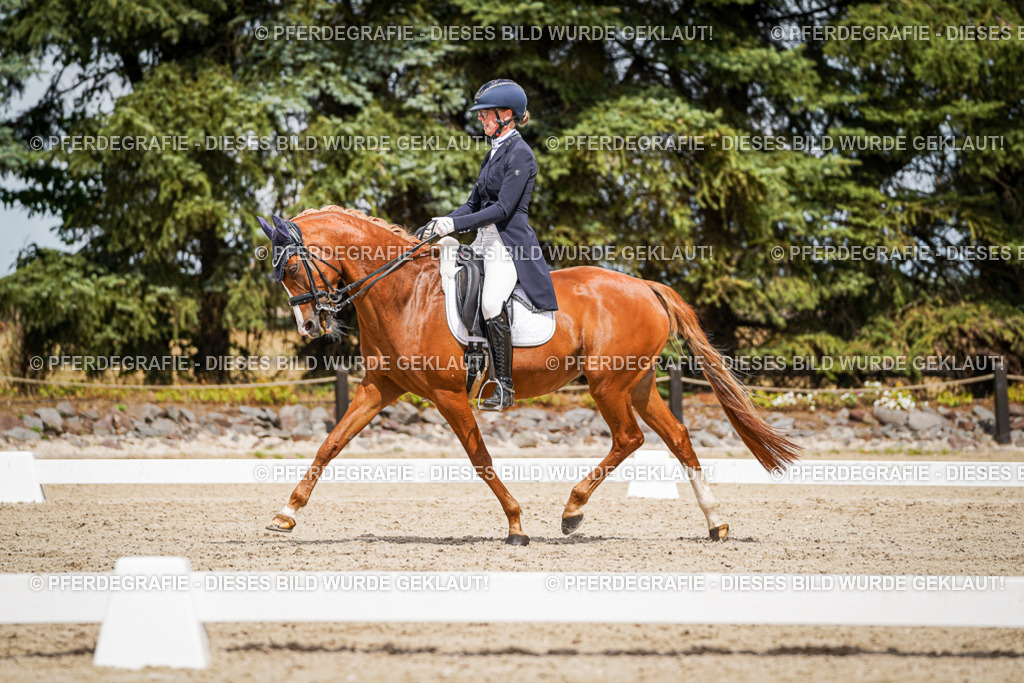 DSC06169 | Pferdegrafie