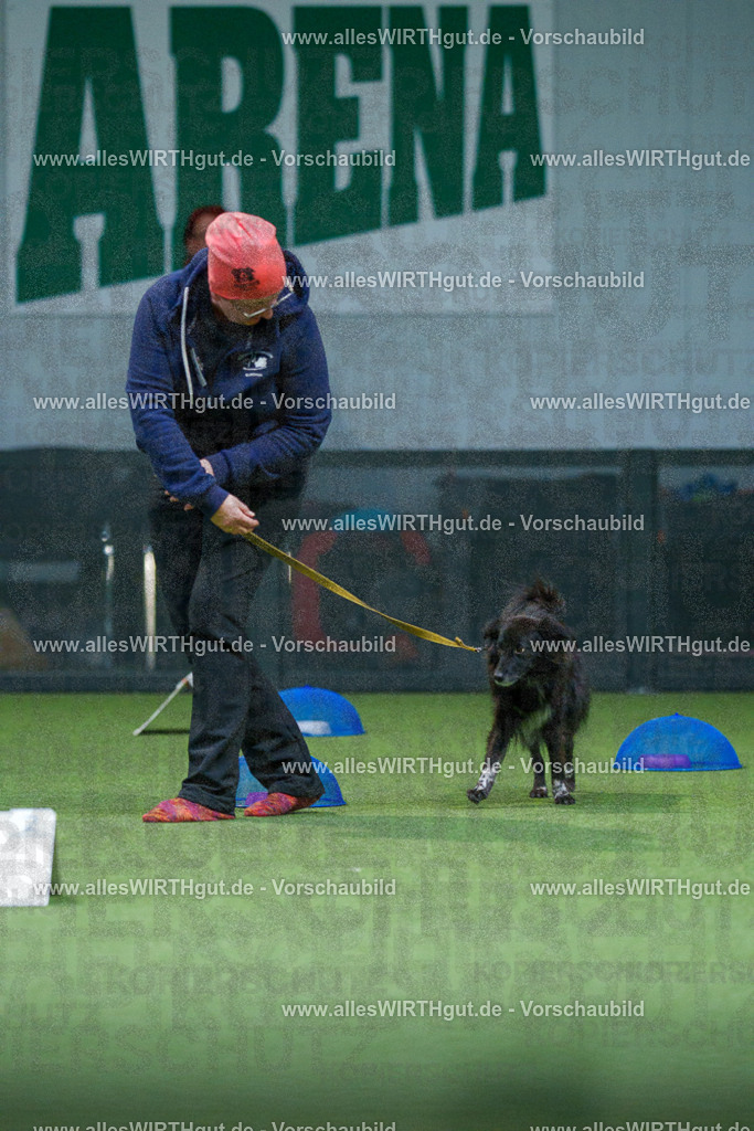 7R501104 | Professionelle Tierfotografie in Mönchengladbach von Daniel Wirth (allesWIRTHgut). Liebevolle & natürliche Bilder von Hunden & Katzen für unvergessliche Erinnerungen.