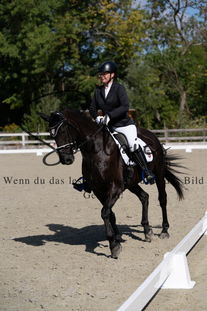 A7V07071 | Turnier/Reitfotograf