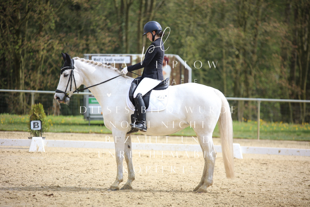 IMGT5429 | pl-fotografie