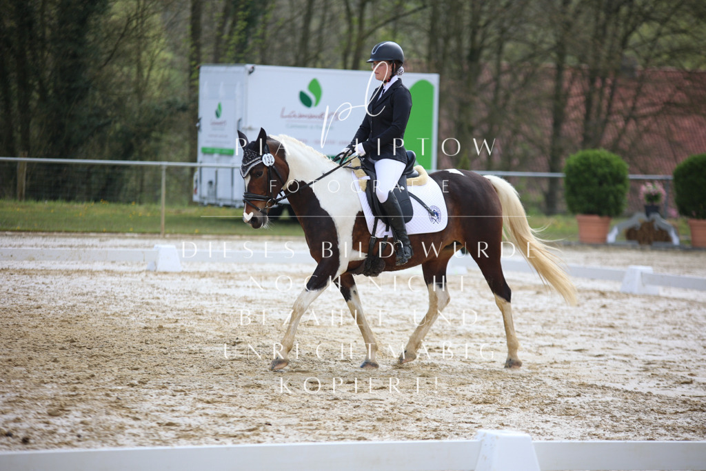 IMGT3388 | pl-fotografie