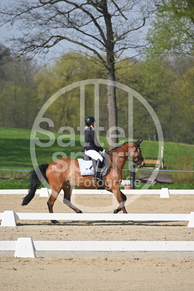 DSC_0315 | sattelsport - Realisiert mit Pictrs.com