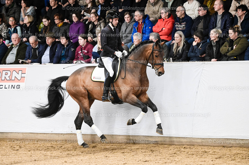 20260307_Hengstvorstellung-Marbach_0063 | equistock