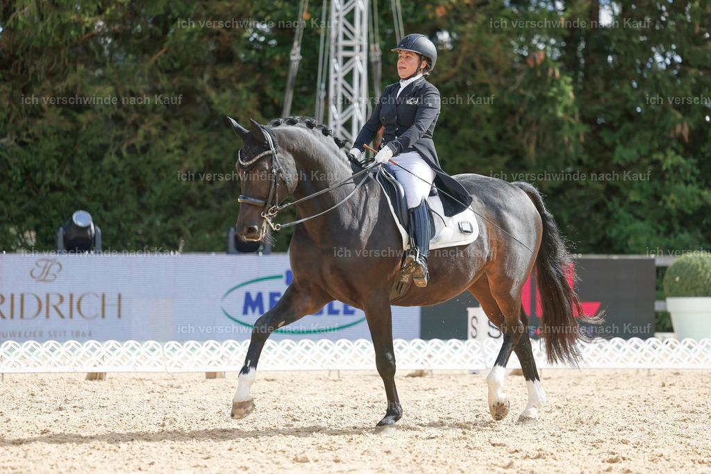 09_2-183-DRESSUR  S_  -StoibPH-5900 | working equitationturnier fotograf videograf stoibphotography marixx film working equitation deutschland reitsport turnierfotografie eventfotografie equestrian events