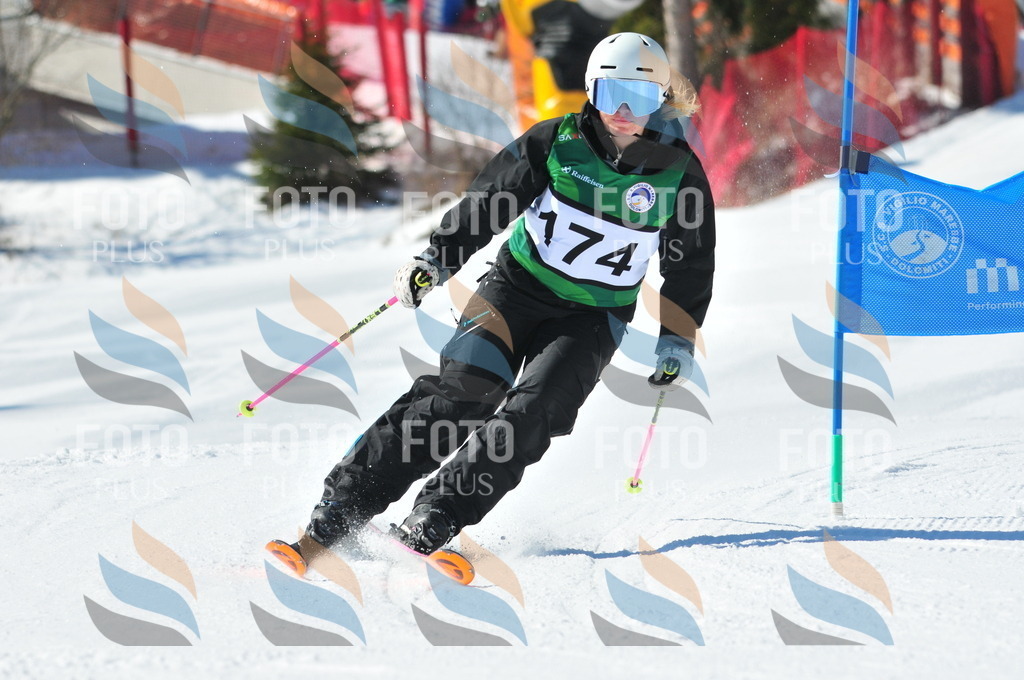 C4238 | holidayphoto