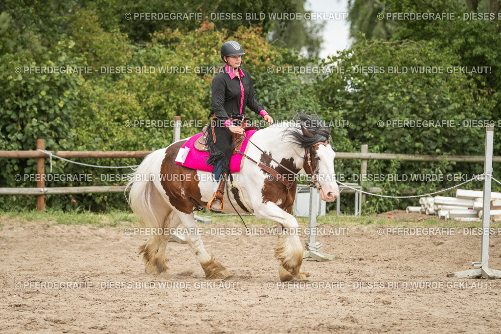 DSC03973 | Pferdegrafie