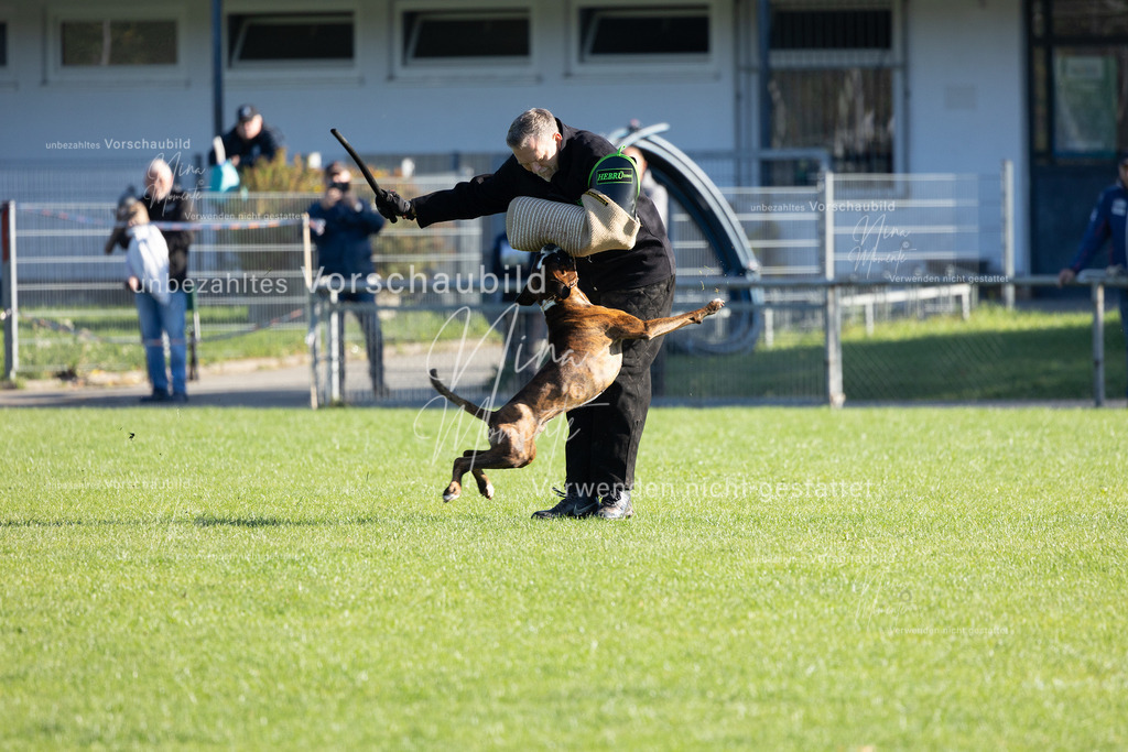 _16A5040 | Einzigartige Fotos von Hunden & Menschen –Actionfotos, Portraits, Vereinsaufnahmen & Paarshootings – authentisch, lebendig & mit Herz.