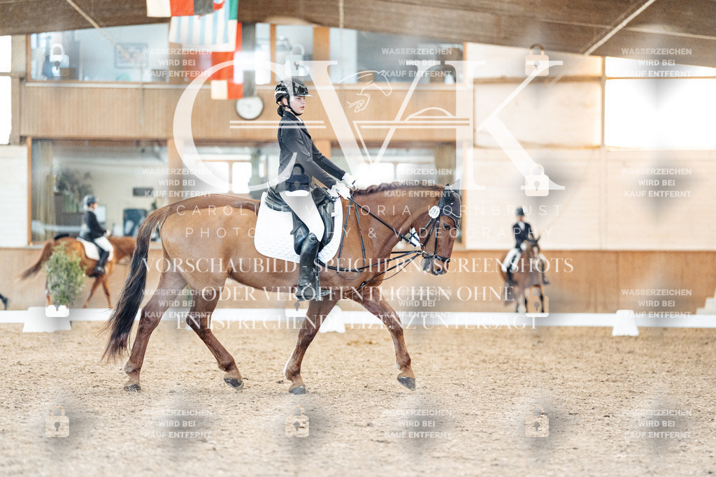 CK907747 | Turnierfotografie Pferdefotografie Trier Rheinland-Pfalz Pferdesport Reitsport Tierfotografie Sportfotografie Pferdevideo Pferdevideografie Equestrianvideography equestrianphotography  - Realisiert mit Pictrs.com