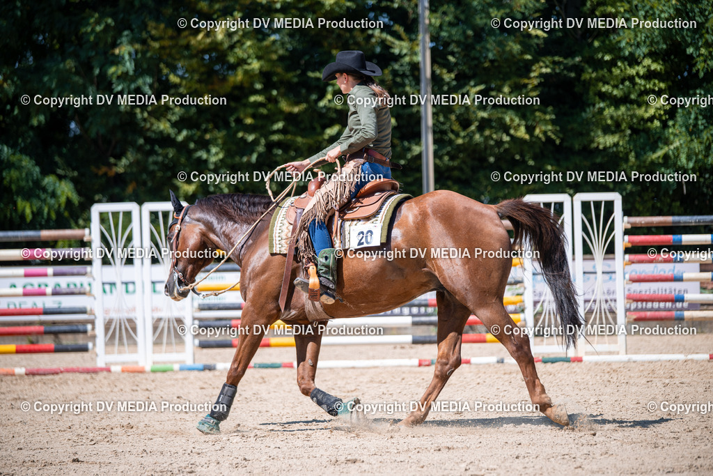 ZS1_1480 | dv-media-shop - Realisiert mit Pictrs.com