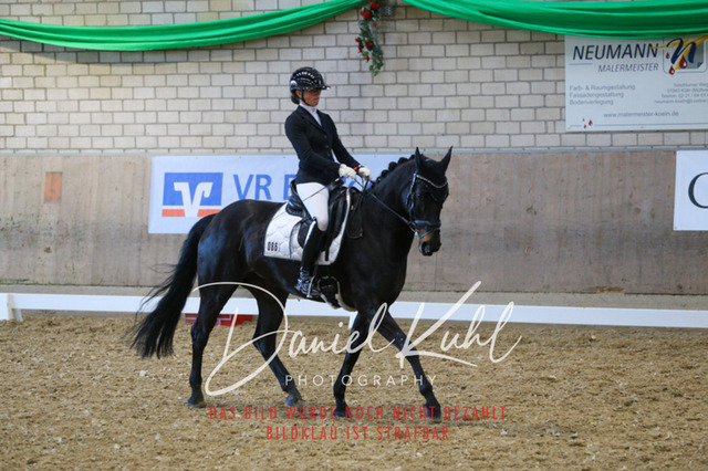 IMG_2911 | Turnierfotos kaufen im Webshop von Daniel Kuhl Photography – entdecke professionelle Reitsportfotos aus Turnieren & Events. Hochwertige Turnierbilder online bestellen & sichern. Jetzt Fotos von Reitsportturnieren kaufen!