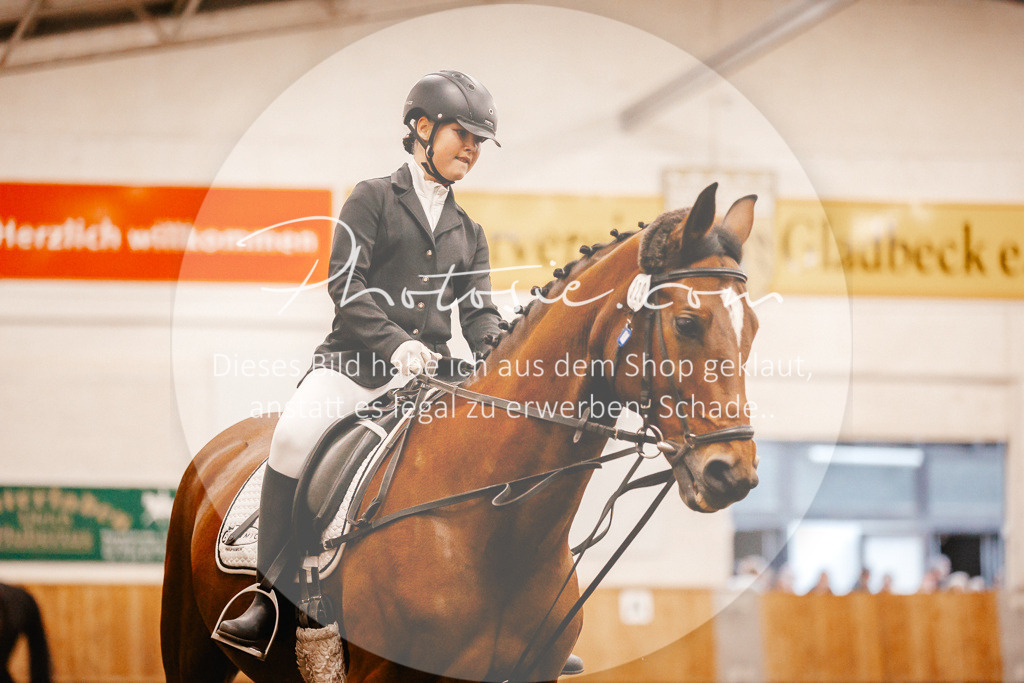 3I6A3420 | Stimmungsvolle Portraits und Reitsportfotografie im Ruhrgebiet und im Münsterland.

Pferdefotografie, Hundefotografie, Tierfotografie, Reportagen, Portraits von Tier und Mensch, Turnierfotografie in Bochum, Recklinghausen, Marl, Haltern am See, Dülmen.. - Realisiert mit Pictrs.com