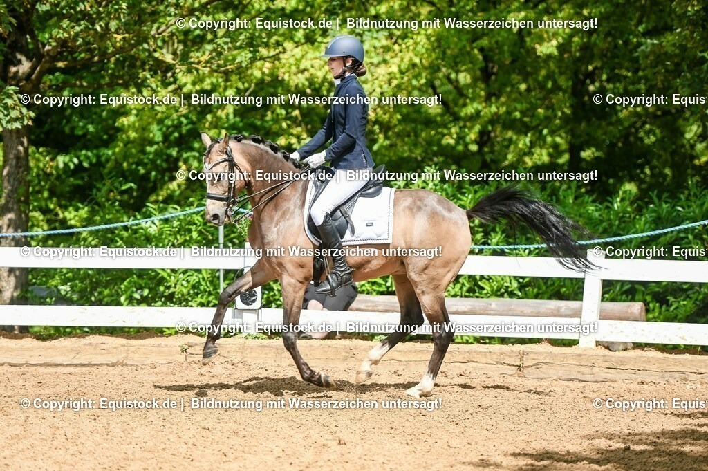 20230716_01_Dressurprüfung Kl.M_0216 | equistock