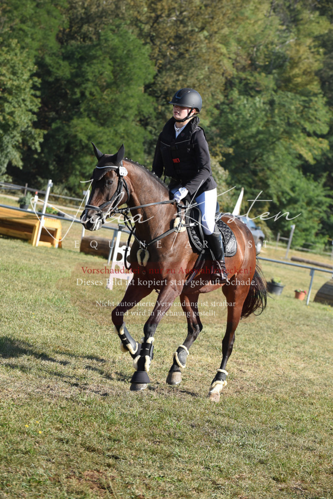 DSC_5374 | Pferde- und Turnierfotografie in Westsachsen. Pferdeportraits, Auftragszeichnungen und intuitive Kunst.