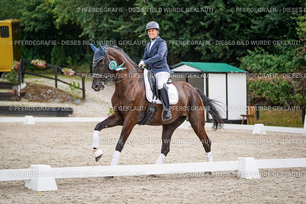 DSC00013 | Pferdegrafie