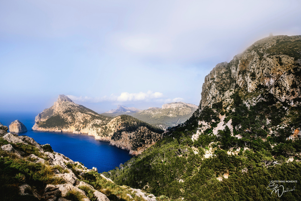 Botanicactus, Ses Salines | Herzlich willkommen auf meiner Seite! Ich bin Elke Wallnisch, Deine Fotografin für lichtstarke Momente. Der Name steht für alles, was mich mit der Fotografie verbindet: Das Licht und seine machtvolle Wirkung auf eine Situation oder unsere Stimmung - Realisiert mit Pictrs.com