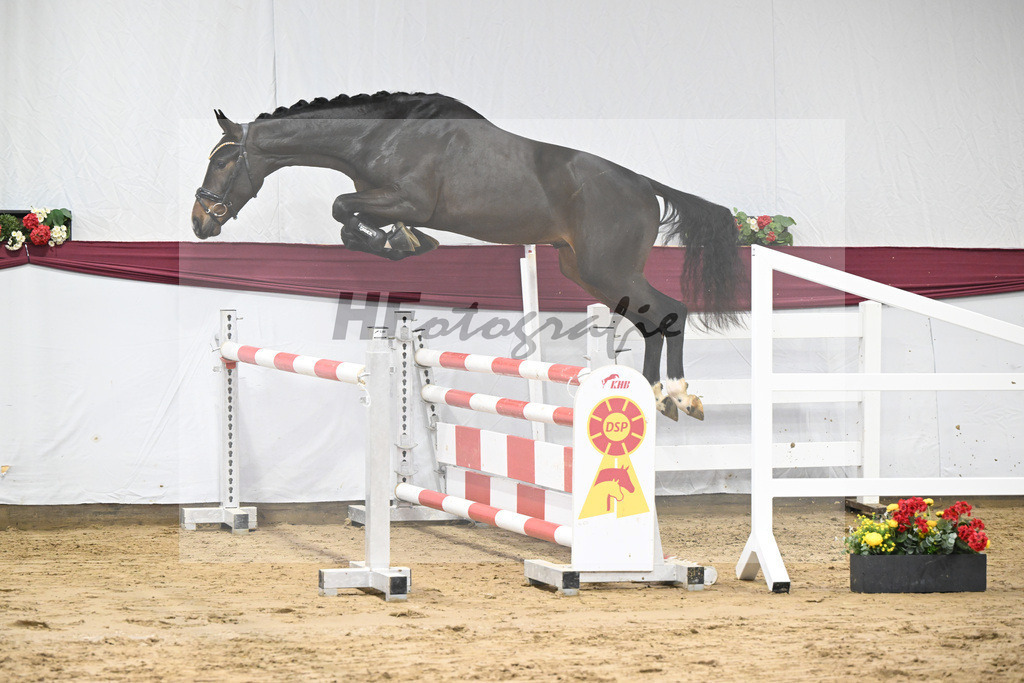 Kat-Nr. 73 Cornets Balou x For Pleasure_Michael Eichler_47252637 | hf-fotografie - Realisiert mit Pictrs.com