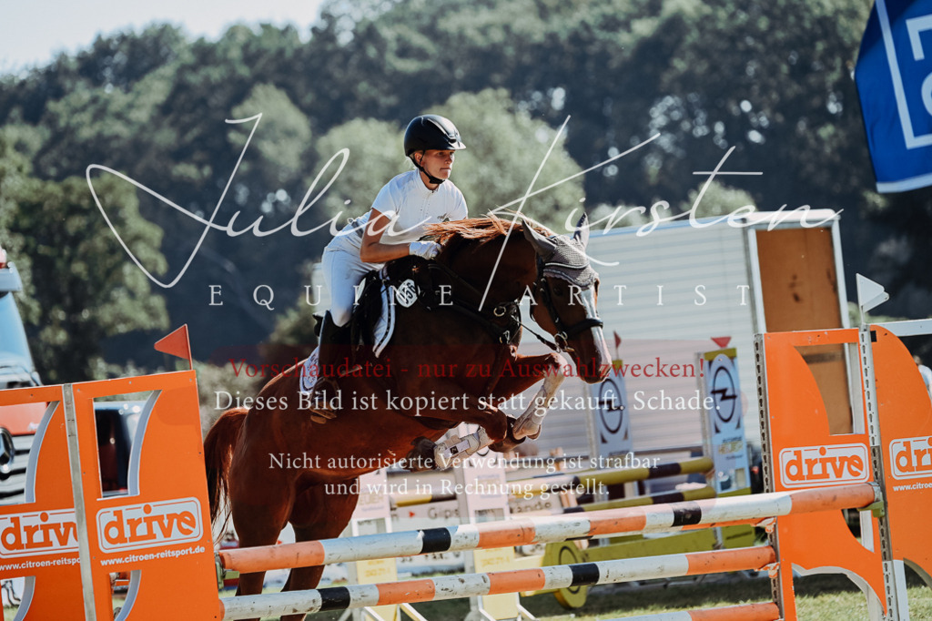 DSC_5608 | Pferde- und Turnierfotografie in Westsachsen. Pferdeportraits, Auftragszeichnungen und intuitive Kunst.