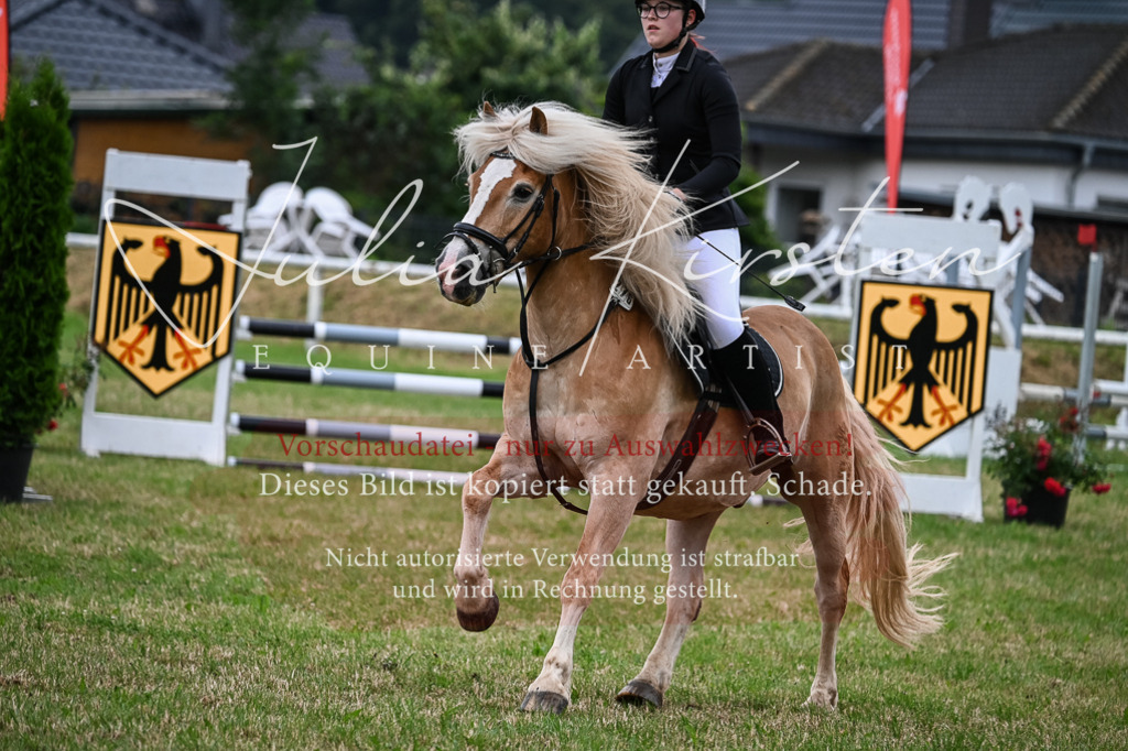 DSC_8414 | Pferde- und Turnierfotografie in Westsachsen. Pferdeportraits, Auftragszeichnungen und intuitive Kunst.