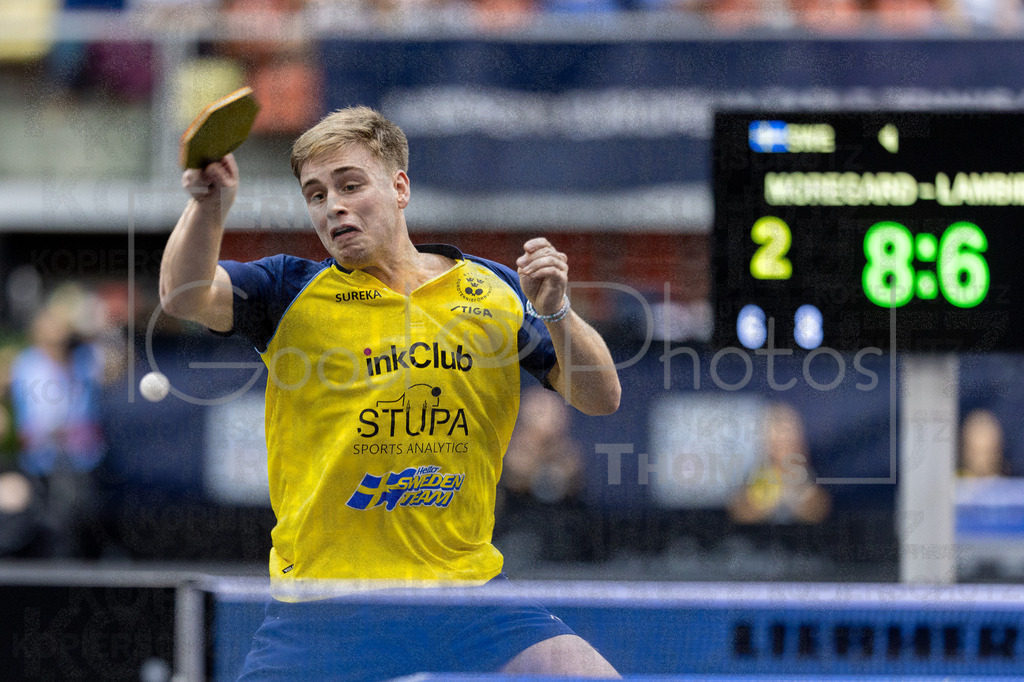 European_Championships_2024-10-17_191 | good-photos - Realisiert mit Pictrs.com