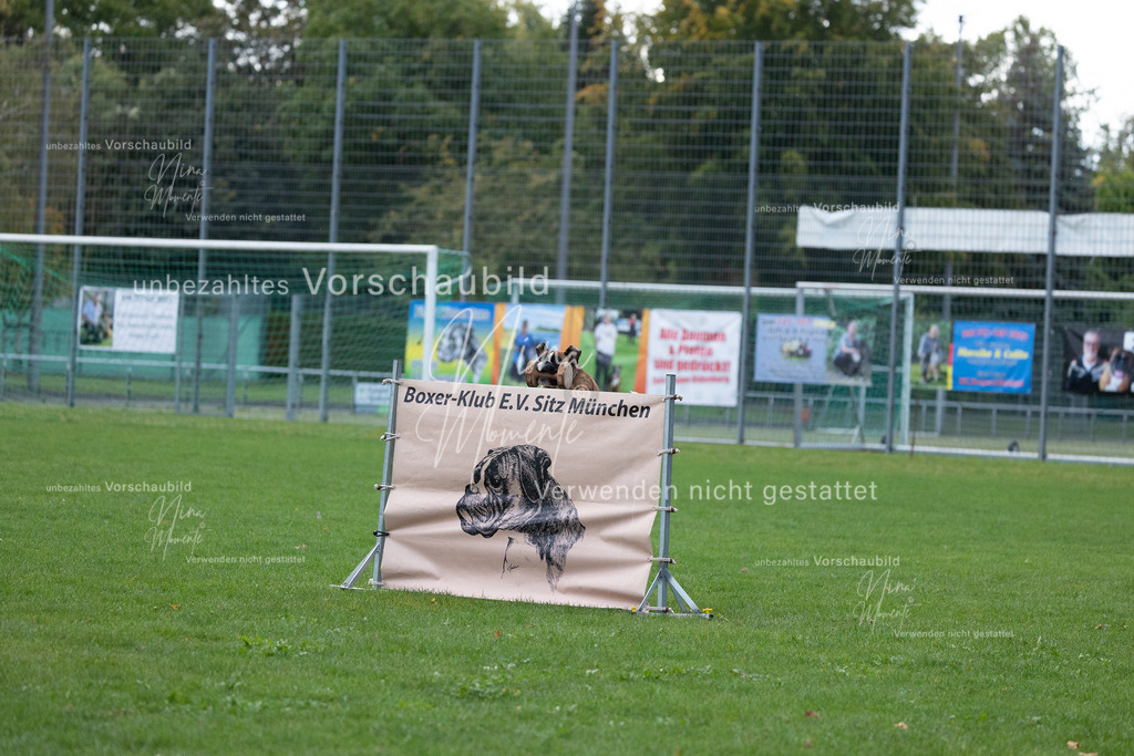 _16A4685 | Einzigartige Fotos von Hunden & Menschen –Actionfotos, Portraits, Vereinsaufnahmen & Paarshootings – authentisch, lebendig & mit Herz.