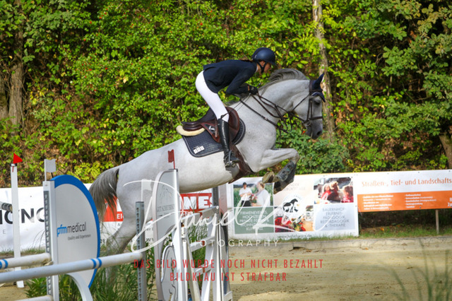 DKP42499 | Turniersportfotografie; Pferdefotografie; Dressurfotografie