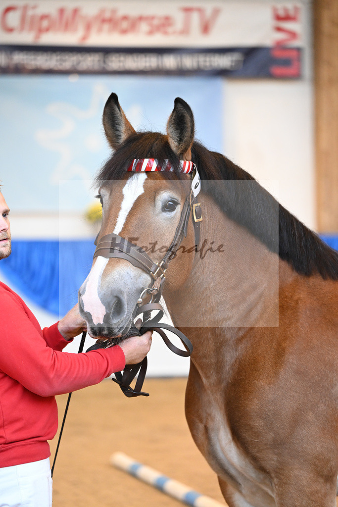 Kat-Nr. 5 Lyanna_Mueller_53220918 | hf-fotografie - Realizzato con Pictrs.com