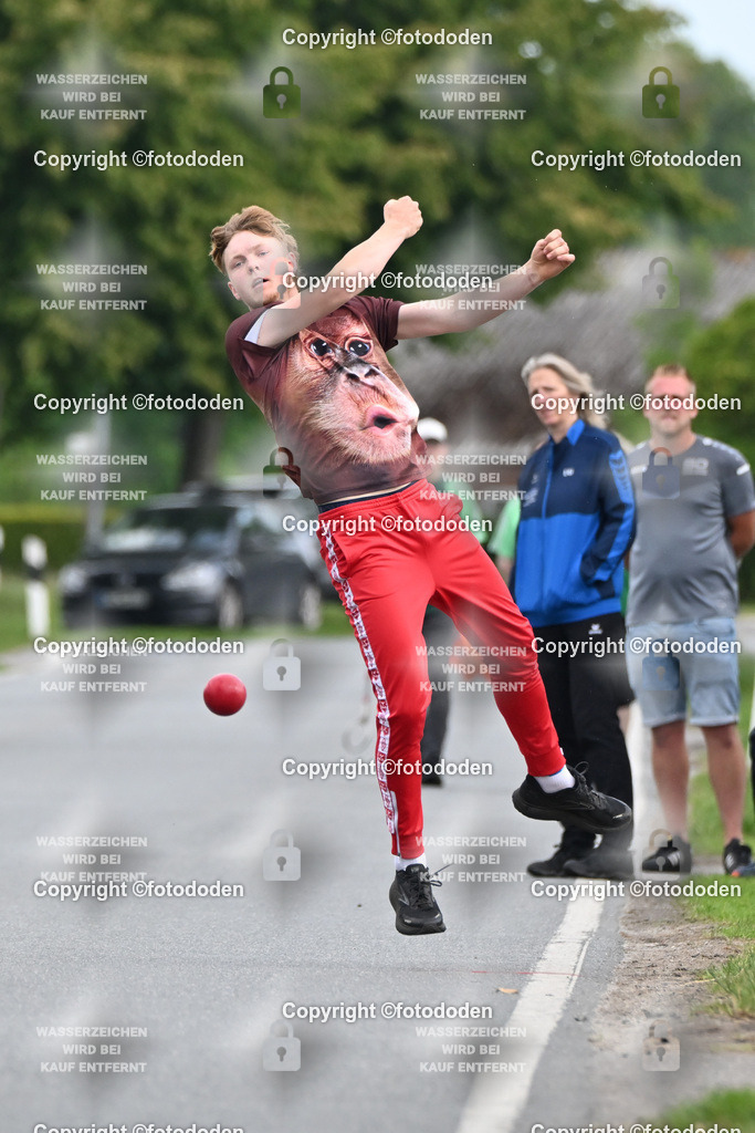 DSC_4773 | Oke Goldenstein / Stedesdorf